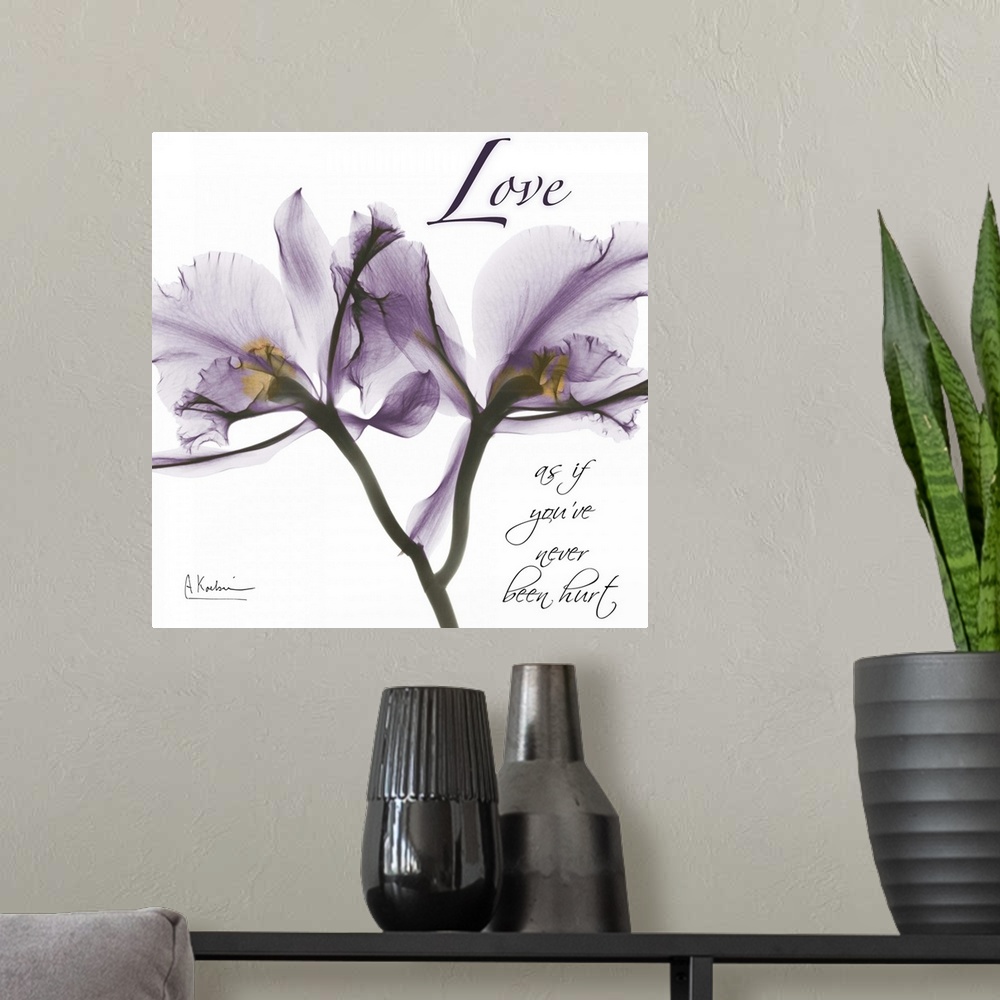 A modern room featuring Orchid Love x-ray photography