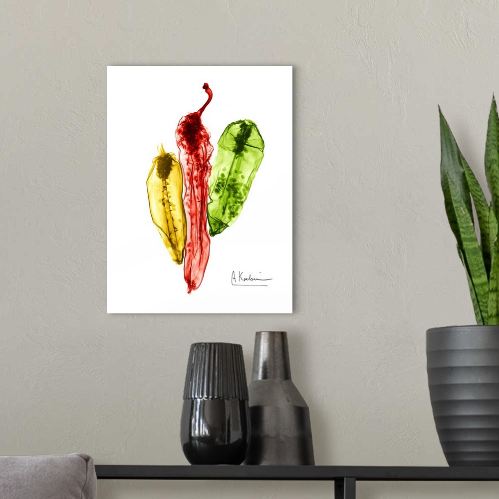 A modern room featuring An x-ray photograph of three colorful chili peppers against a white background.
