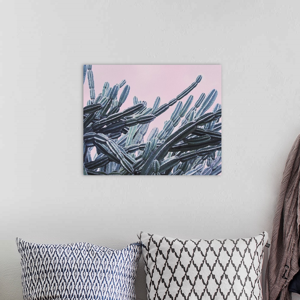 A bohemian room featuring Long, intertwining branches of cacti against a pale sky.