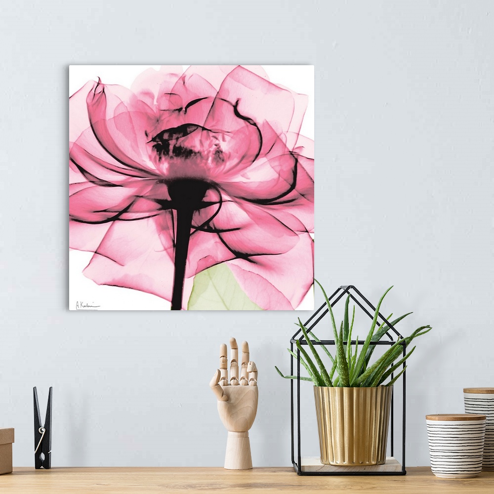 A bohemian room featuring Photo on a square canvas of a translucent view of a rose.