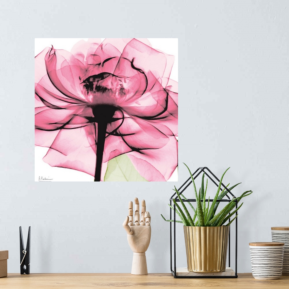 A bohemian room featuring Photo on a square canvas of a translucent view of a rose.
