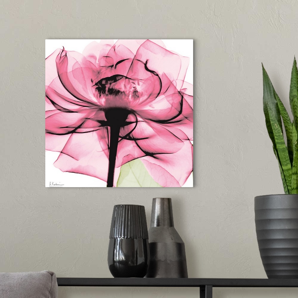 A modern room featuring Photo on a square canvas of a translucent view of a rose.