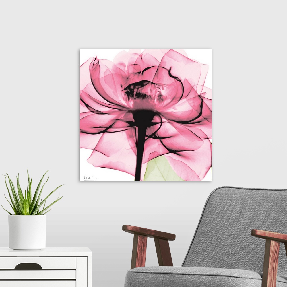 A modern room featuring Photo on a square canvas of a translucent view of a rose.
