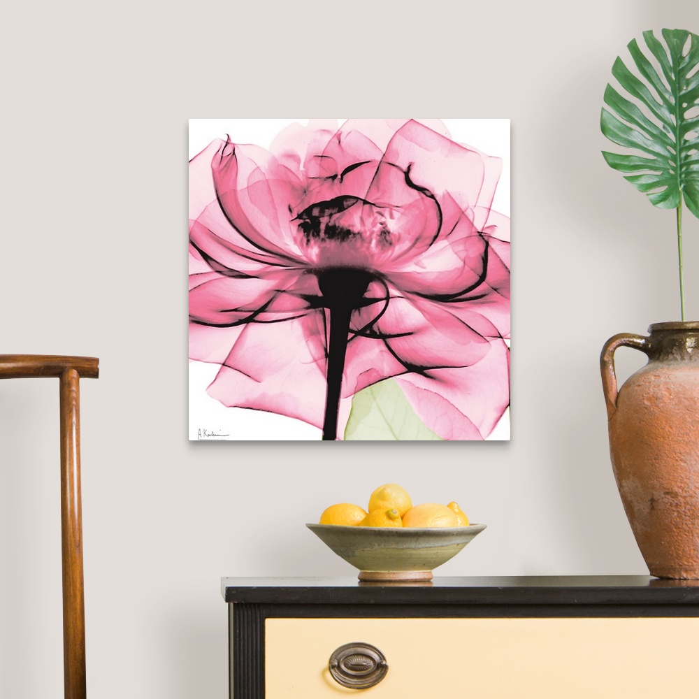 A traditional room featuring Photo on a square canvas of a translucent view of a rose.