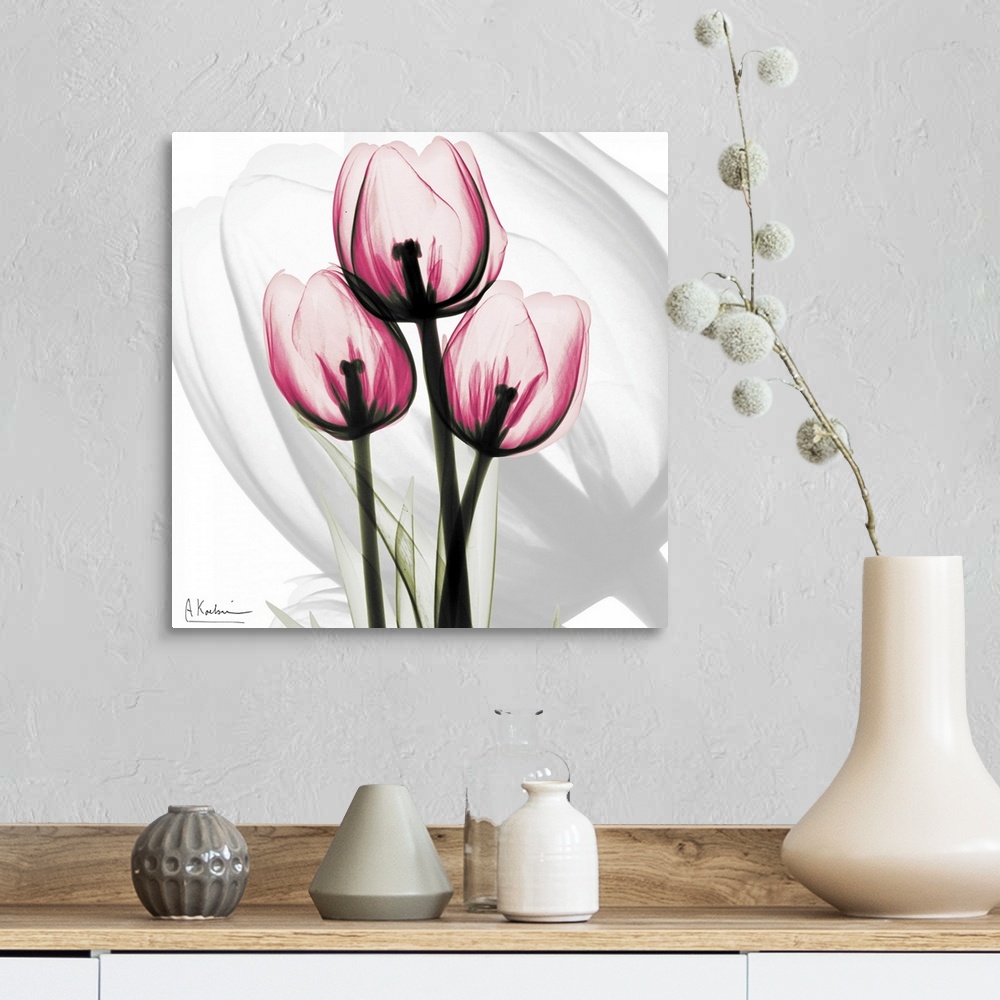 A farmhouse room featuring Pink Tulips x-ray photography