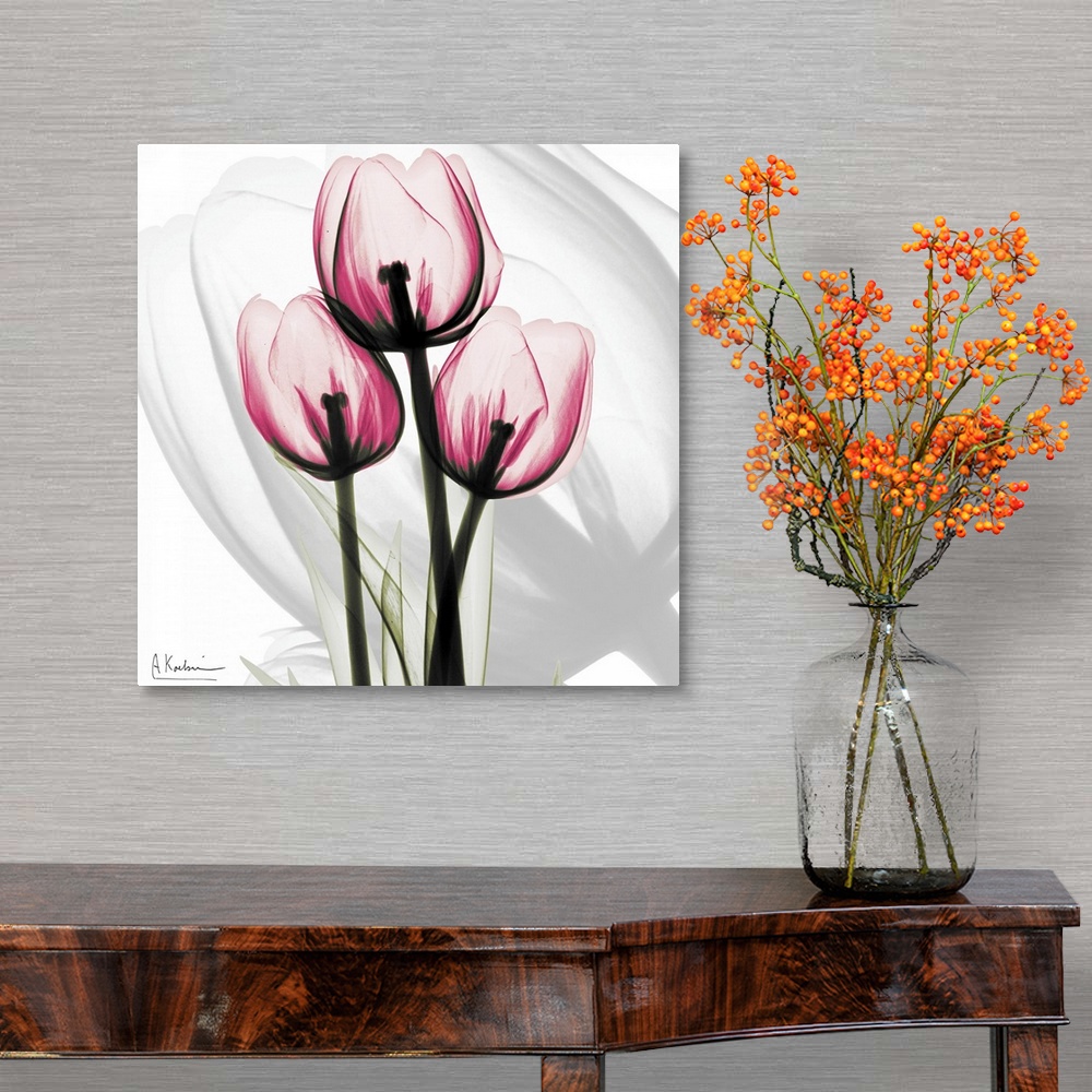 A traditional room featuring Pink Tulips x-ray photography