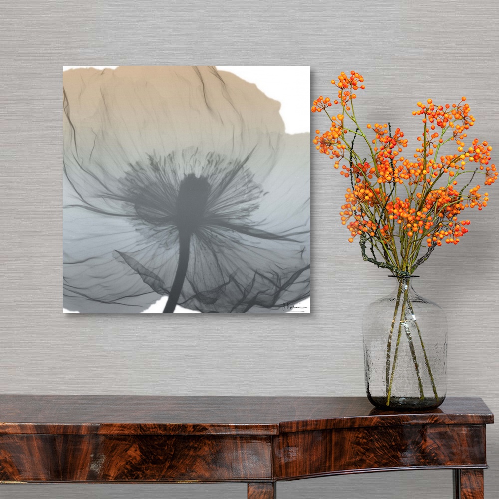 A traditional room featuring Contemporary home decor artwork of an x-ray photograph of a flower.