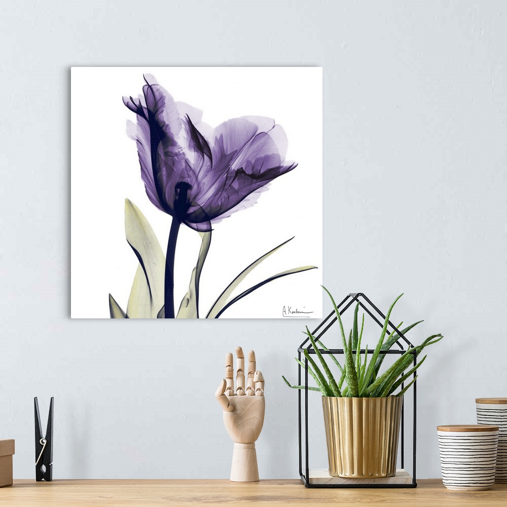 A bohemian room featuring Square x-ray photograph of a purple flower against a white background.