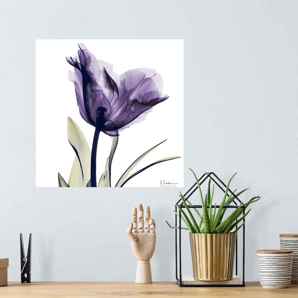 A bohemian room featuring Square x-ray photograph of a purple flower against a white background.