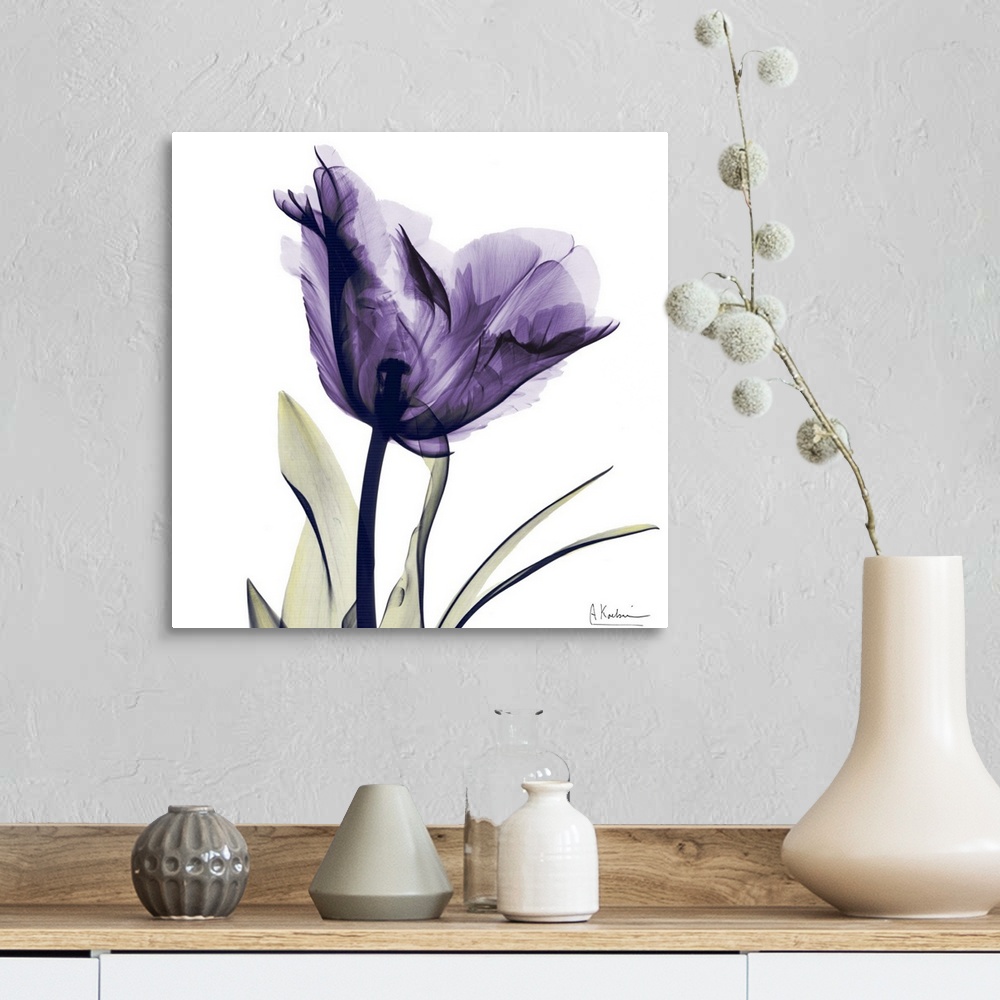 A farmhouse room featuring Square x-ray photograph of a purple flower against a white background.