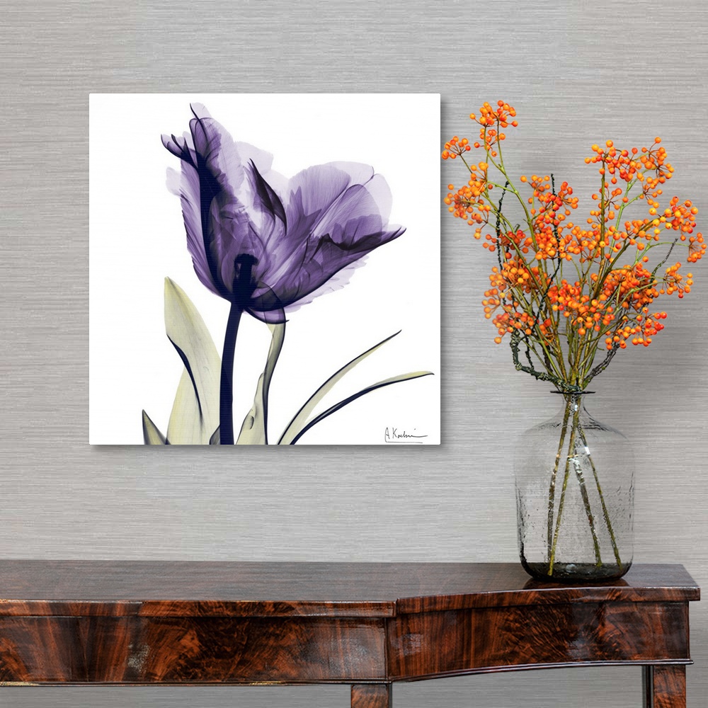 A traditional room featuring Square x-ray photograph of a purple flower against a white background.