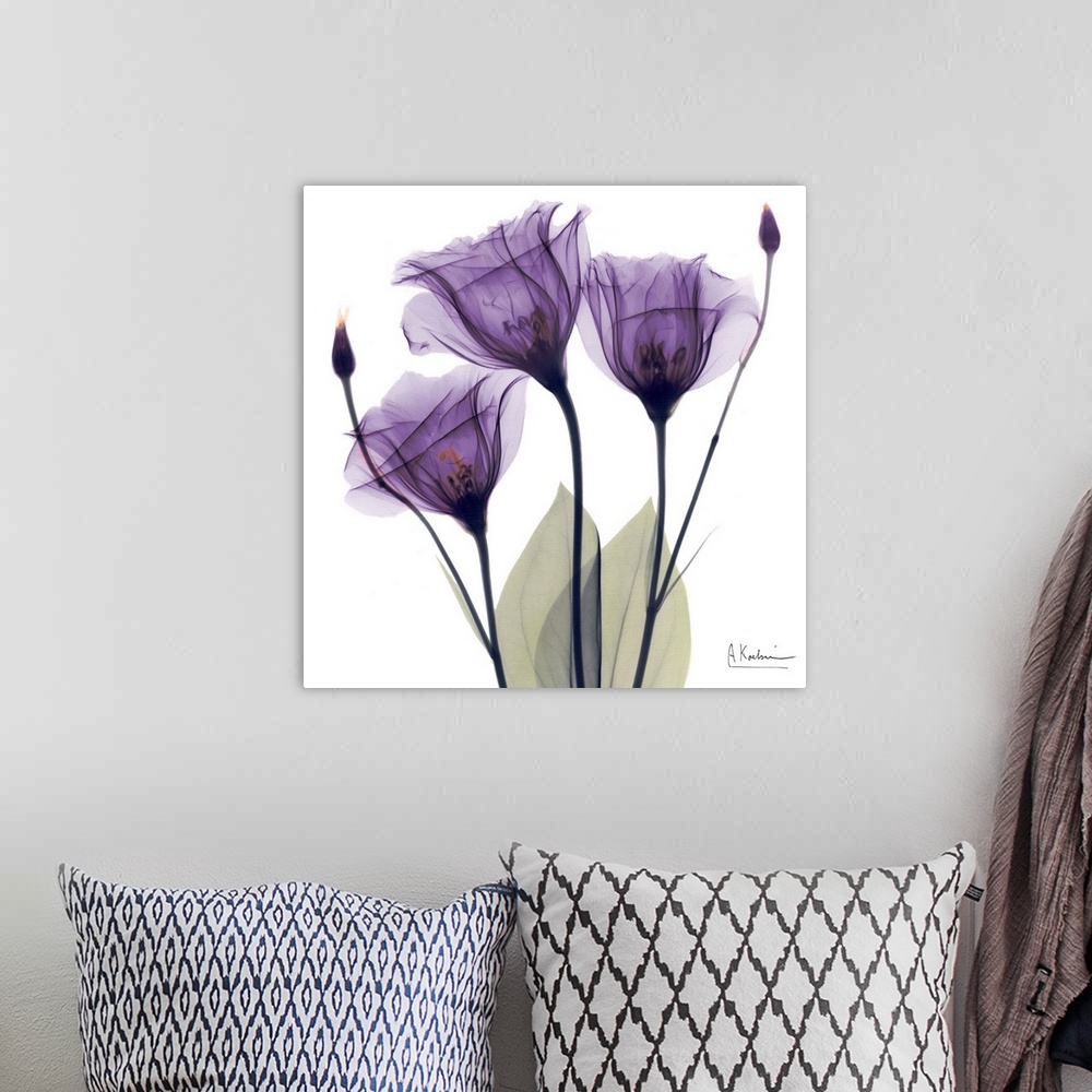 A bohemian room featuring Square x-ray photograph of three purple flowers against a white background.