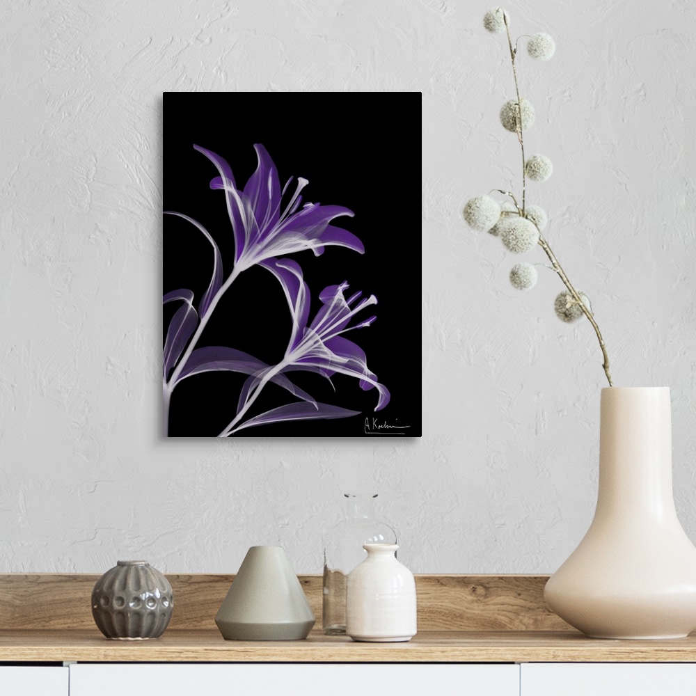 A farmhouse room featuring Vertical x-ray photograph of lilies, against a dark background.