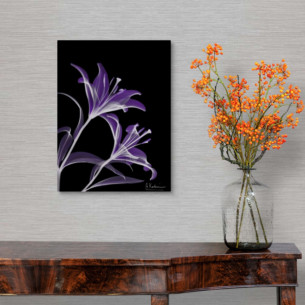 A traditional room featuring Vertical x-ray photograph of lilies, against a dark background.