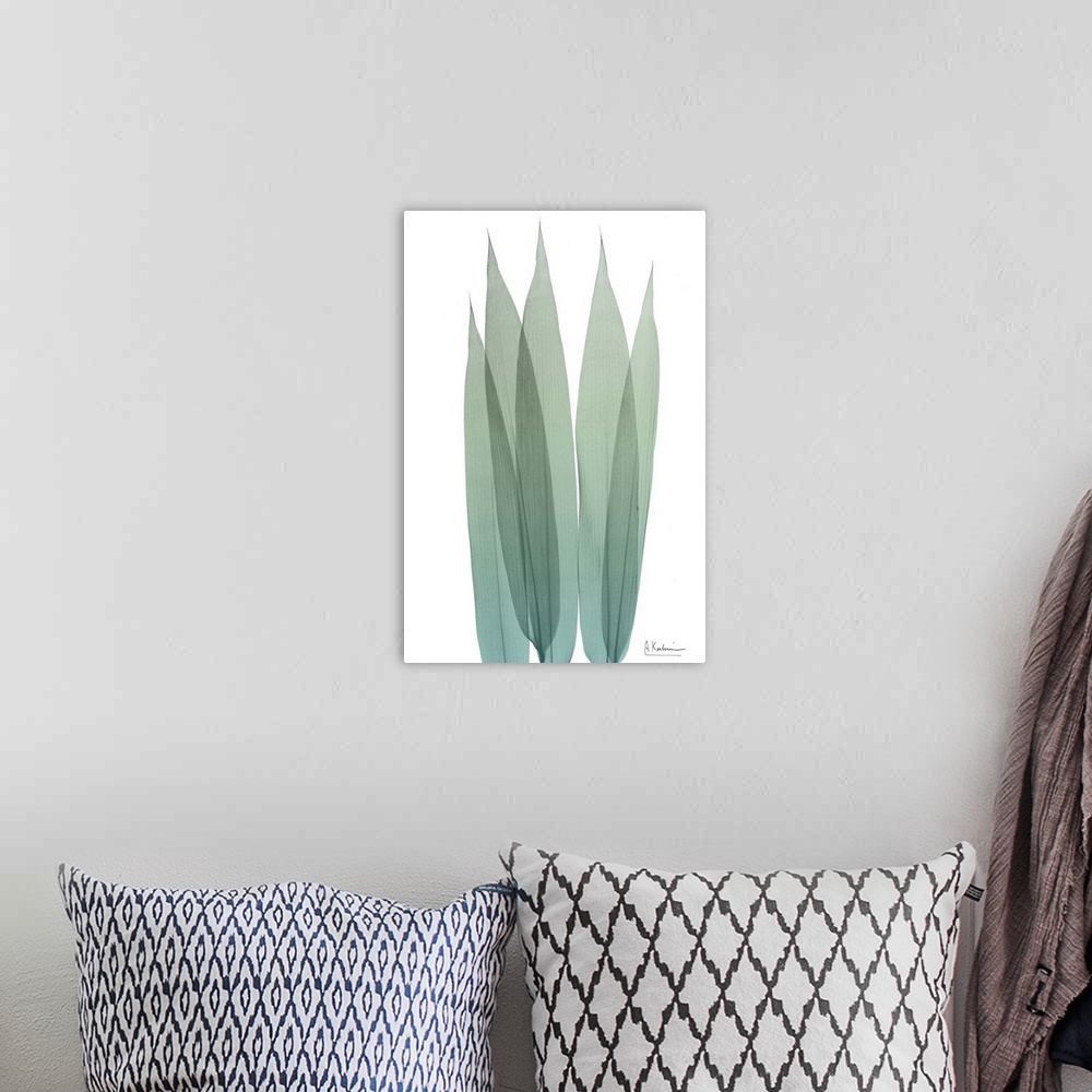 A bohemian room featuring X-ray style photo of five overlapping bamboo leaves.