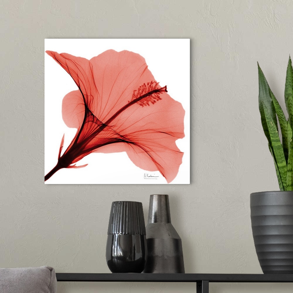 A modern room featuring Up-close photograph of flower showing it's veining and stamen.
