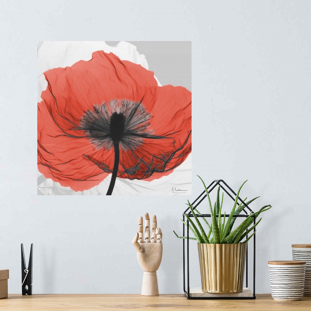 A bohemian room featuring Square artwork of a transparent flower standing out from a neutral background.