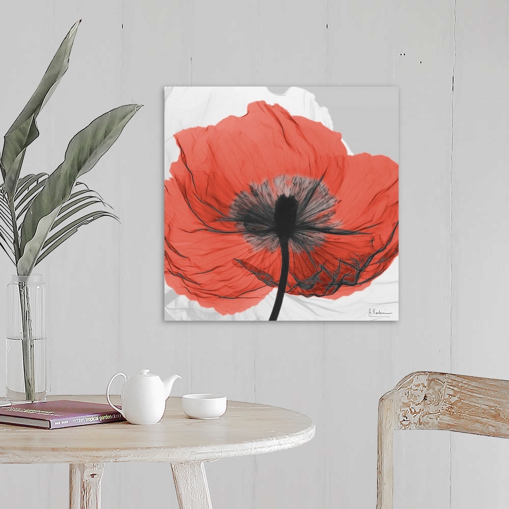 A farmhouse room featuring Square artwork of a transparent flower standing out from a neutral background.