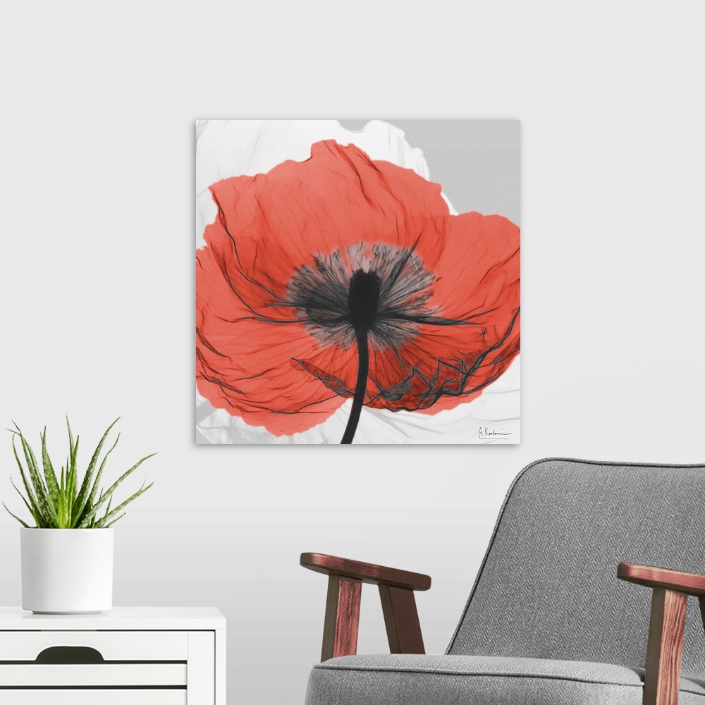A modern room featuring Square artwork of a transparent flower standing out from a neutral background.