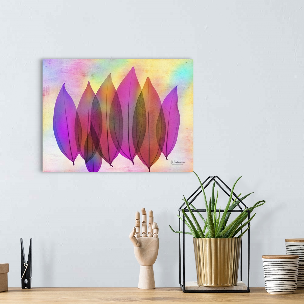 A bohemian room featuring X-Ray photography of six Coculus leaves in vibrant pink and purple colors.