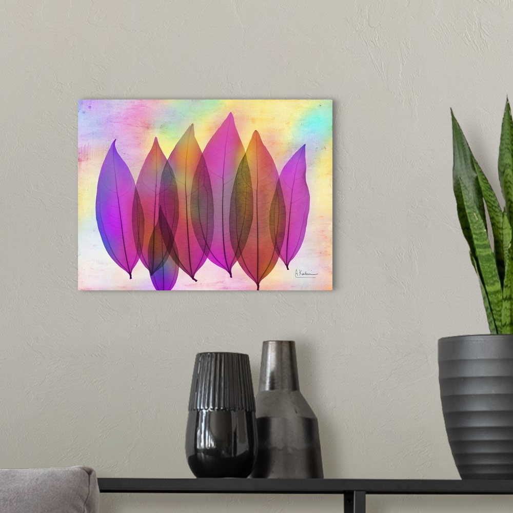 A modern room featuring X-Ray photography of six Coculus leaves in vibrant pink and purple colors.