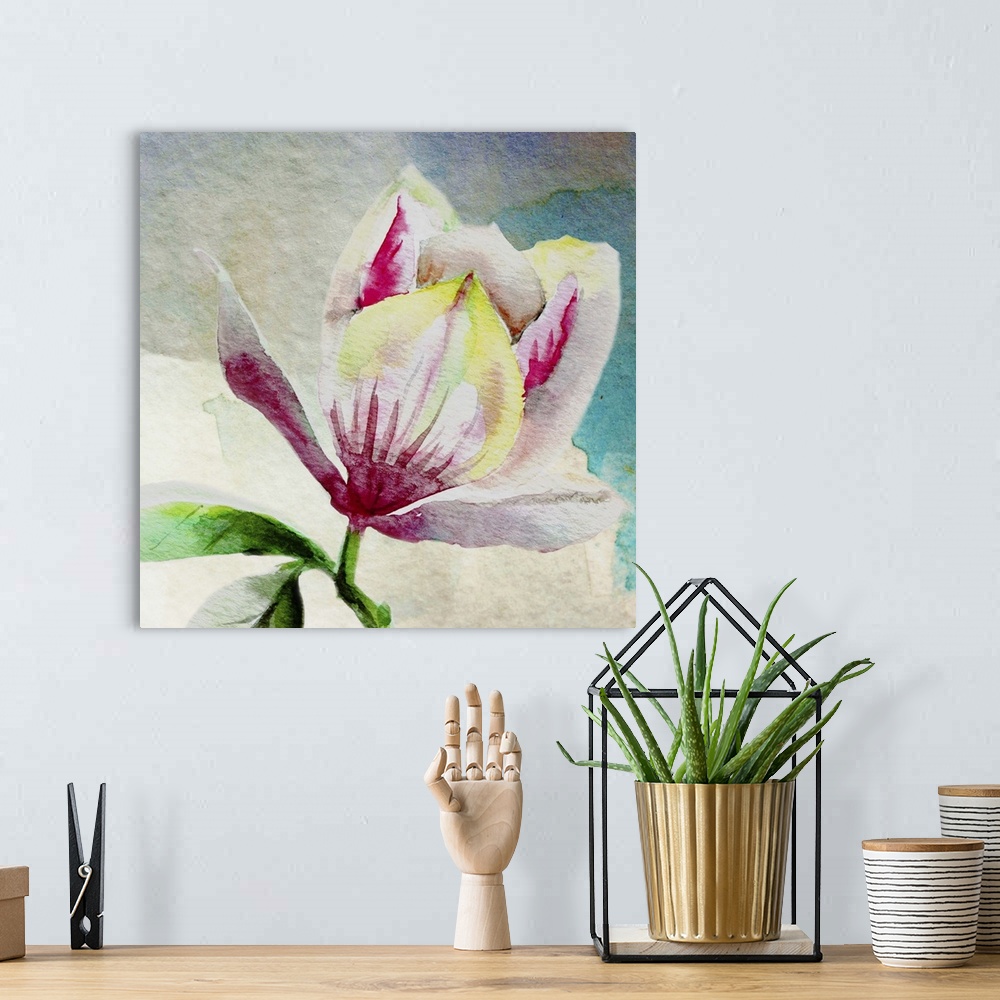 A bohemian room featuring Square watercolor painting of a single magnolia flower in shades of pink, yellow, white, and gree...