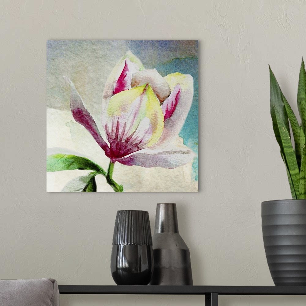 A modern room featuring Square watercolor painting of a single magnolia flower in shades of pink, yellow, white, and gree...
