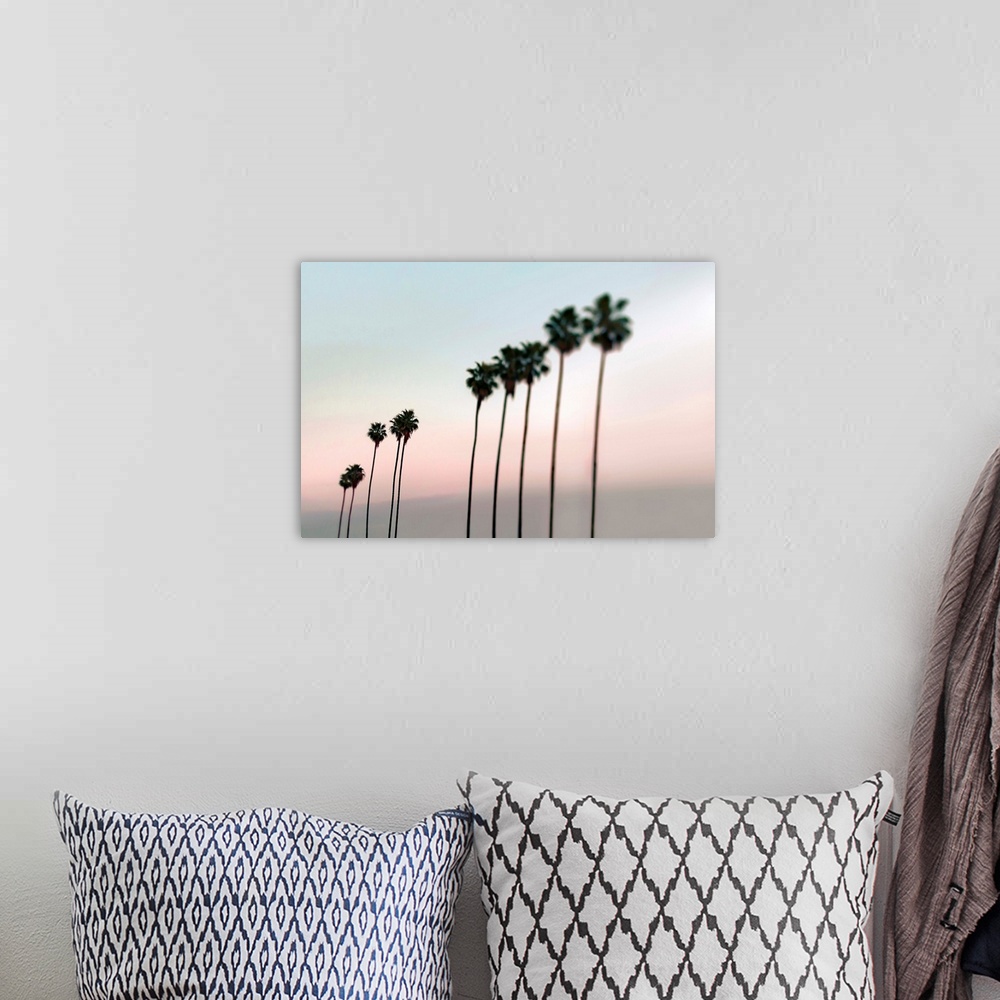 A bohemian room featuring Fine art photo of a row of very tall palm trees against a pastel sunset sky.