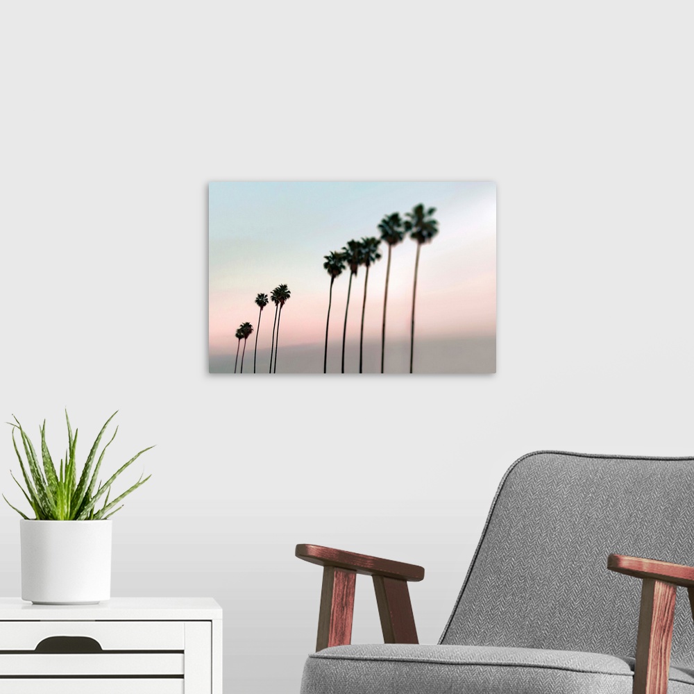 A modern room featuring Fine art photo of a row of very tall palm trees against a pastel sunset sky.