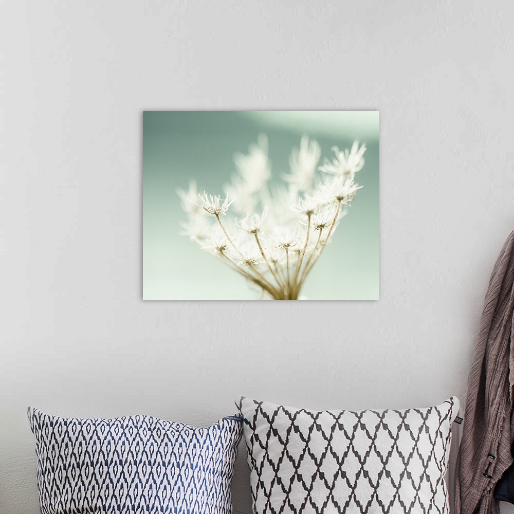 A bohemian room featuring Close up image of small wispy white flowers.