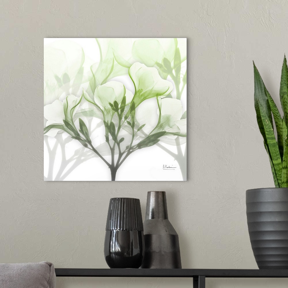 A modern room featuring Seasoned Oleander