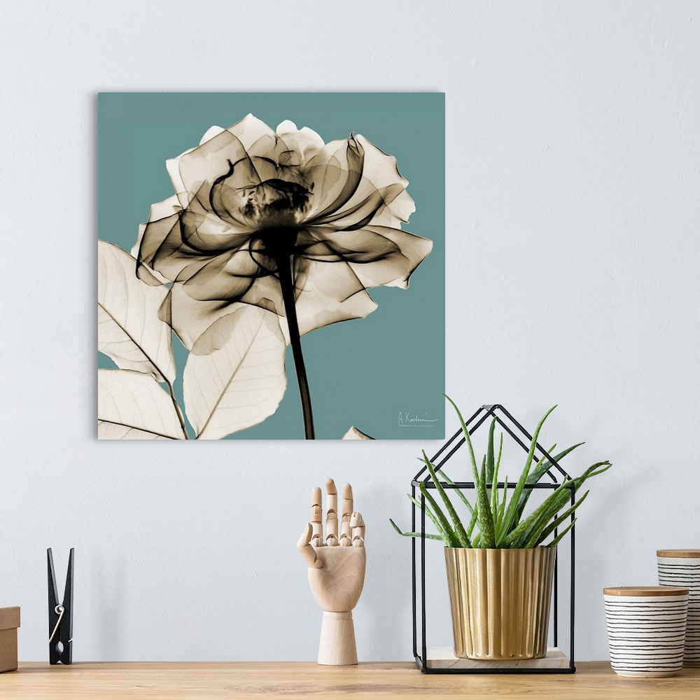 A bohemian room featuring Oversized, square, x-ray photograph of a rose, its stem and several leaves, against a solid backg...