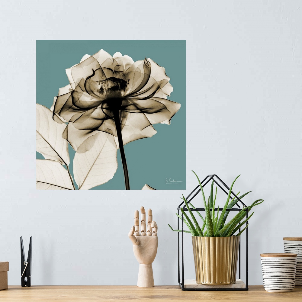 A bohemian room featuring Oversized, square, x-ray photograph of a rose, its stem and several leaves, against a solid backg...