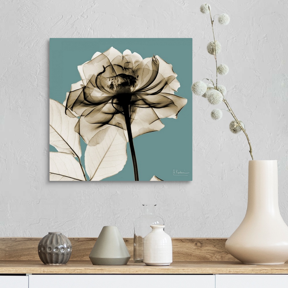 A farmhouse room featuring Oversized, square, x-ray photograph of a rose, its stem and several leaves, against a solid backg...