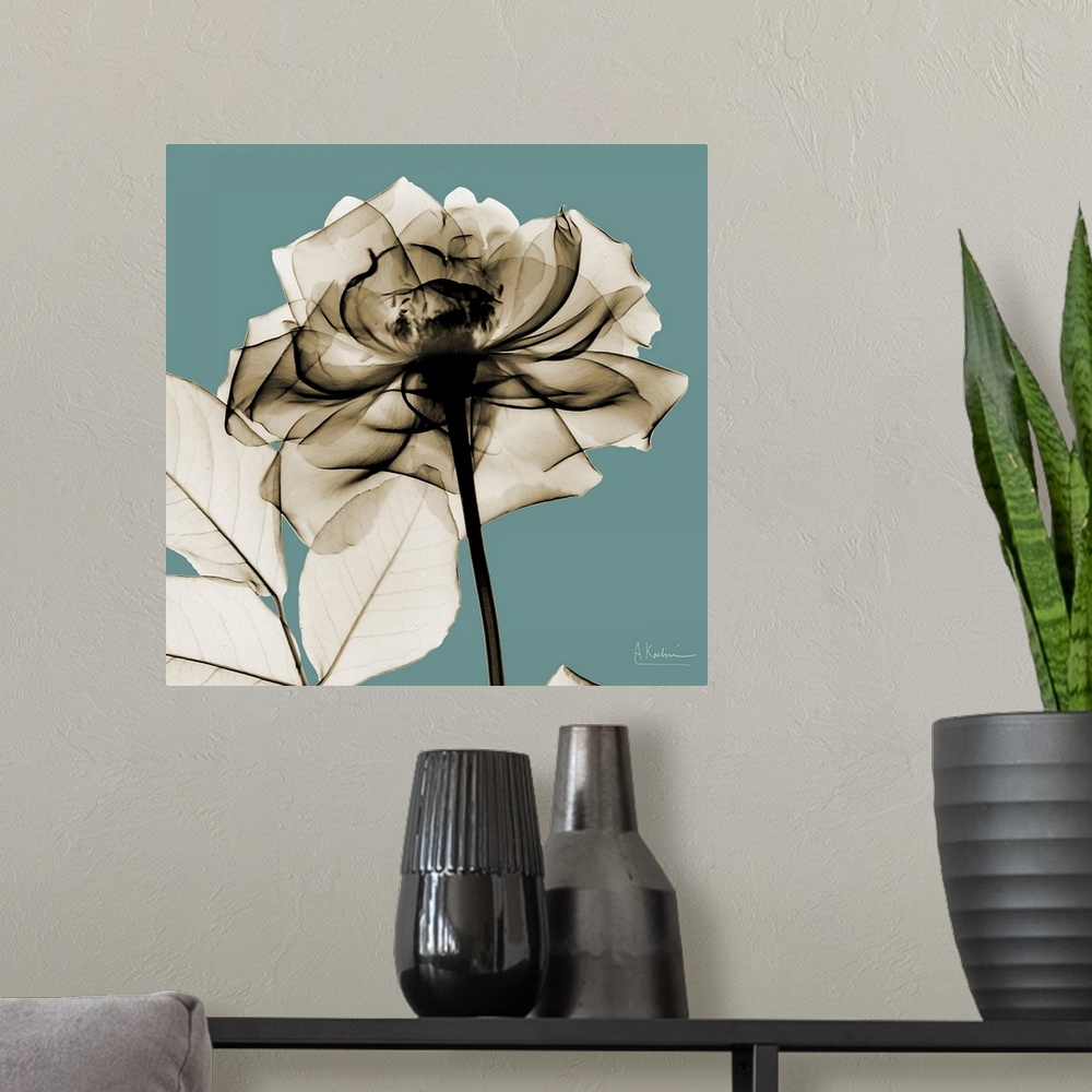 A modern room featuring Oversized, square, x-ray photograph of a rose, its stem and several leaves, against a solid backg...