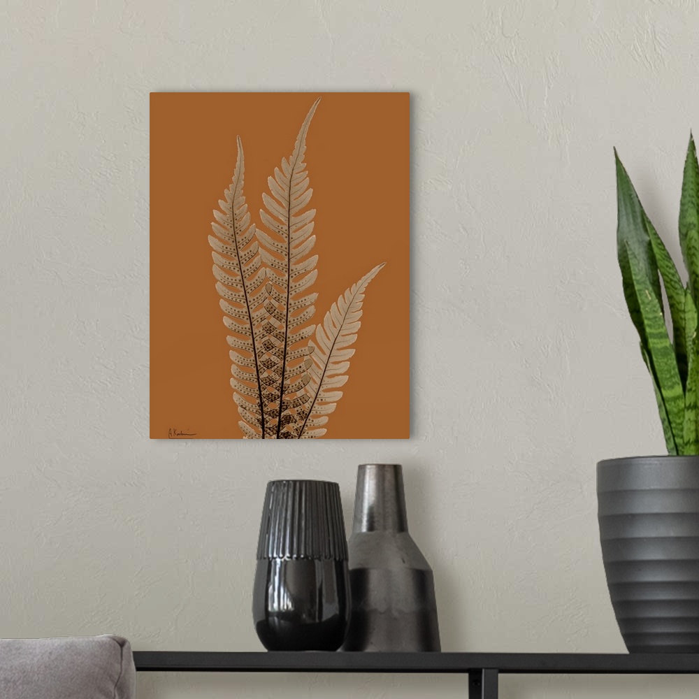 A modern room featuring Sepia Tree Fern X-Ray Photograph