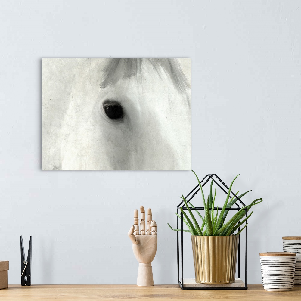 A bohemian room featuring Close up of the eye of a white horse.