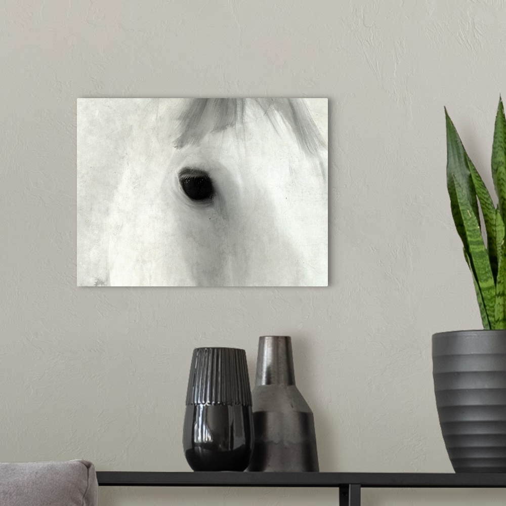 A modern room featuring Close up of the eye of a white horse.