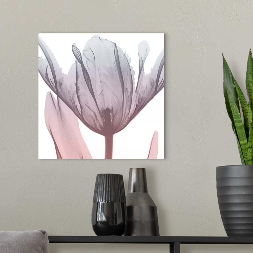 A modern room featuring Contemporary x-ray photograph of a hibiscus flower.