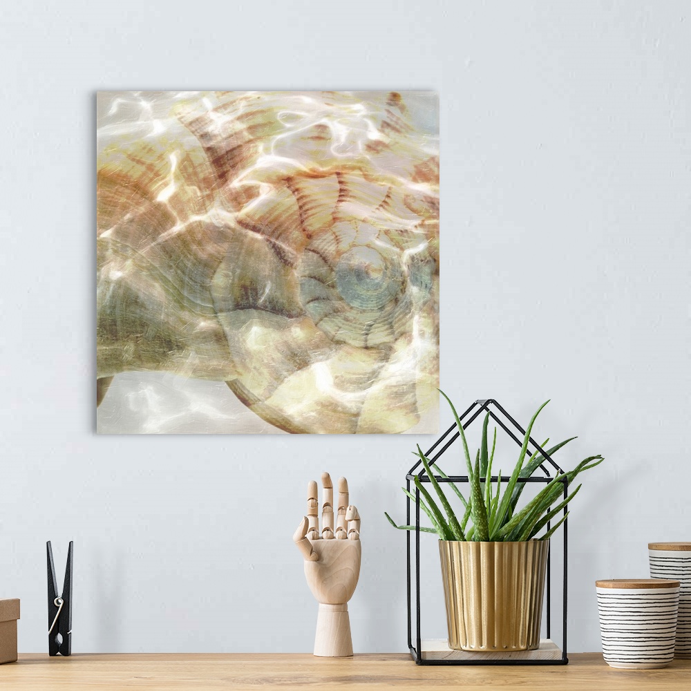 A bohemian room featuring Close up of a shell with shimmering light from water.