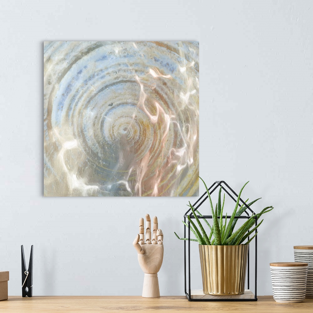 A bohemian room featuring Close up of a shell with shimmering light from water.