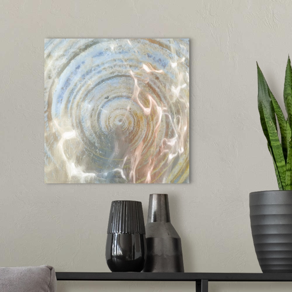 A modern room featuring Close up of a shell with shimmering light from water.