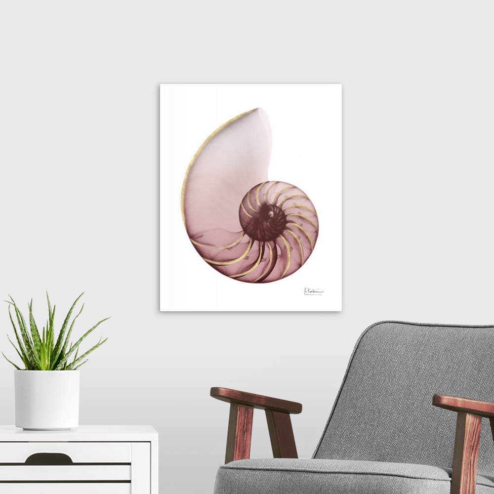 A modern room featuring Shimmering Blush Snail 1