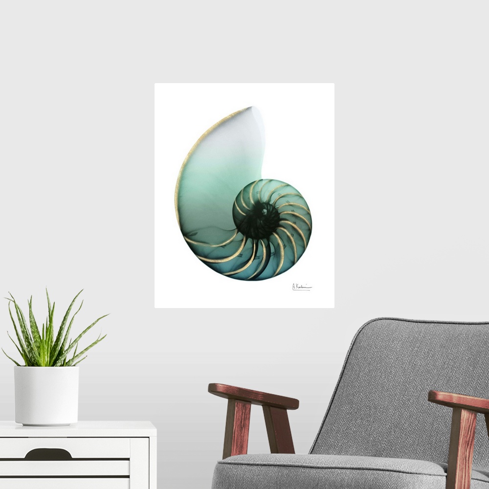 A modern room featuring Shimmering Snail 4