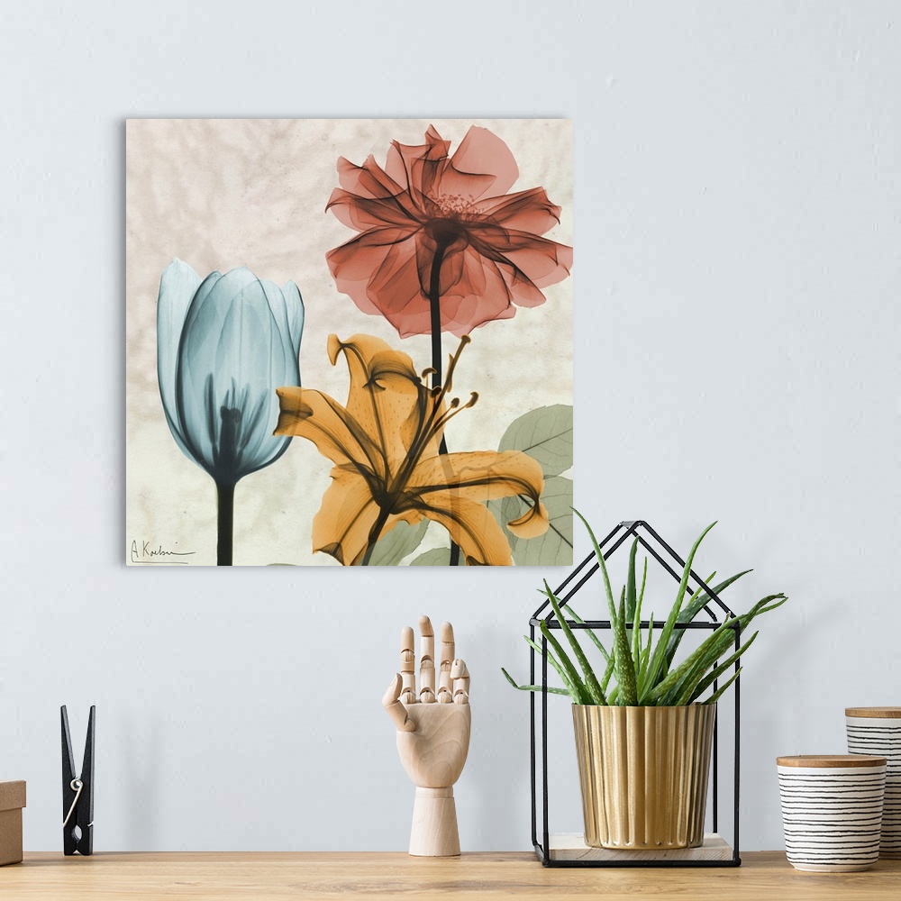 A bohemian room featuring Square x-ray photograph of a group of flowers, against an earth toned background.