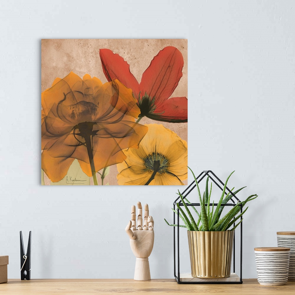 A bohemian room featuring X-Ray photography of garden flowers in soft warm tones.