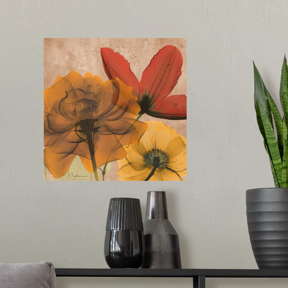 A modern room featuring X-Ray photography of garden flowers in soft warm tones.