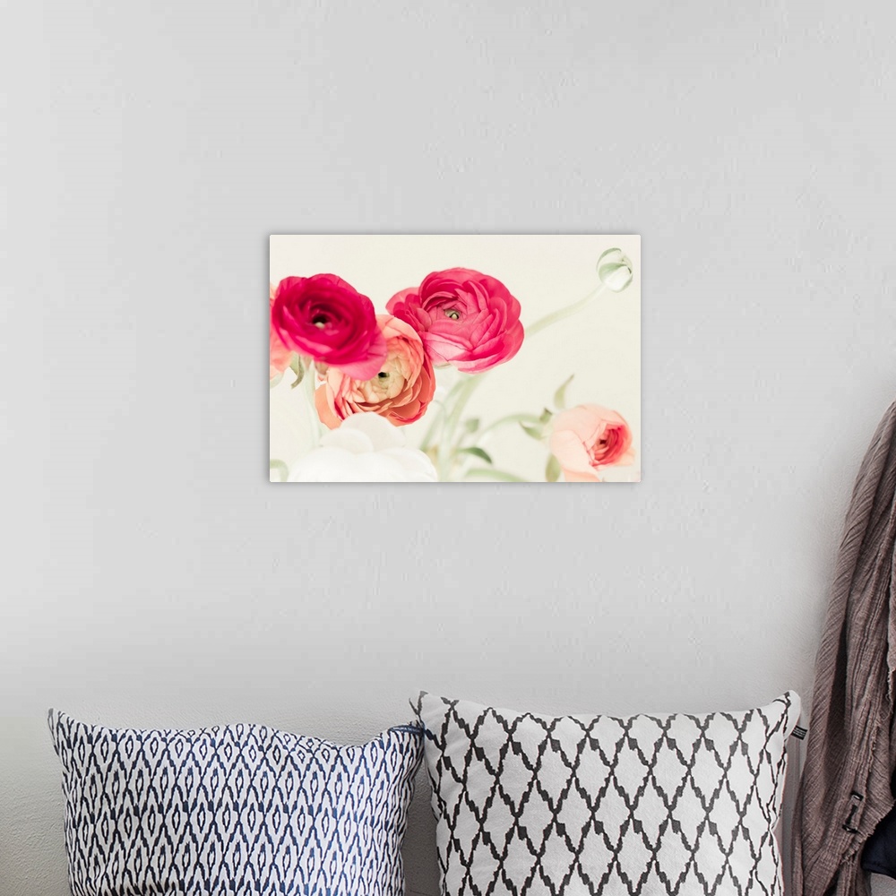 A bohemian room featuring Fine art photo of brightly colored ranunculus flowers.