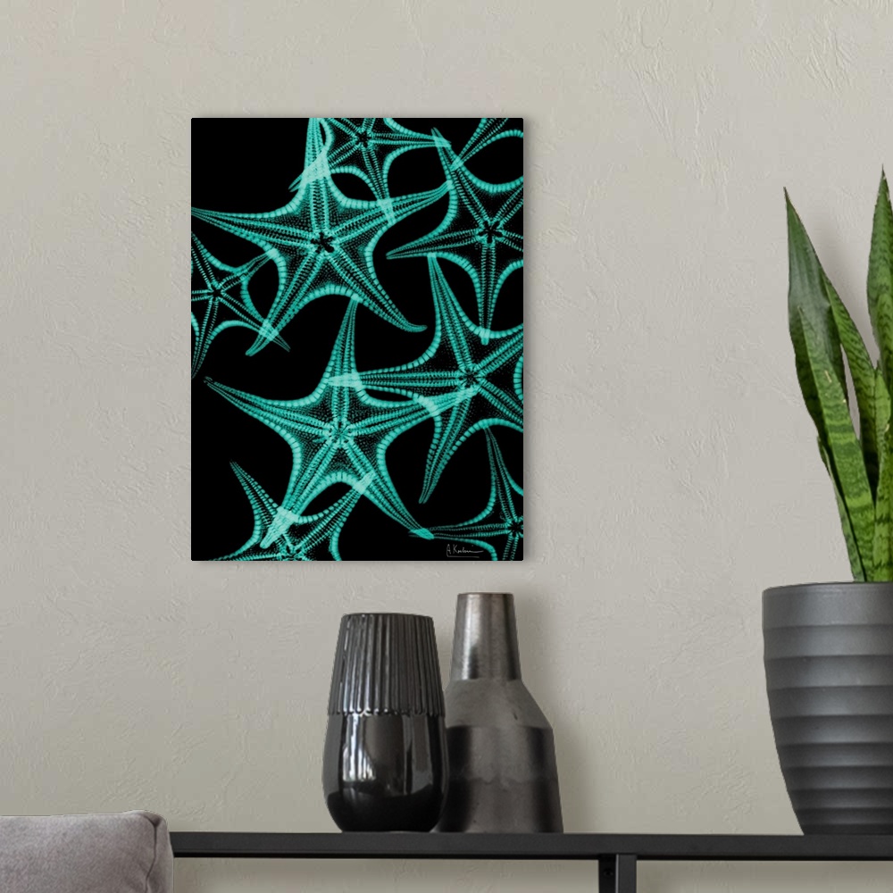 A modern room featuring Vertical x-ray photograph of a group of starfish, against a dark background.