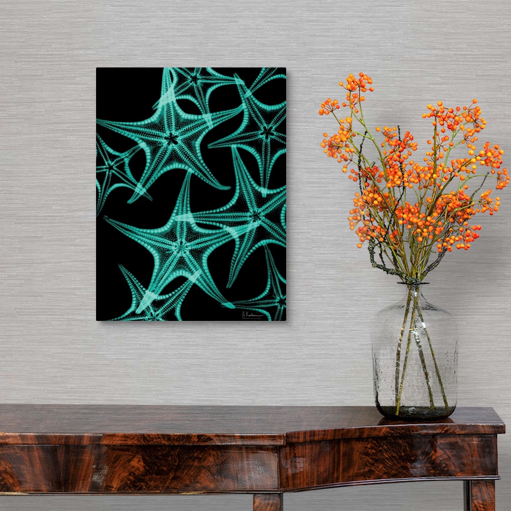 A traditional room featuring Vertical x-ray photograph of a group of starfish, against a dark background.